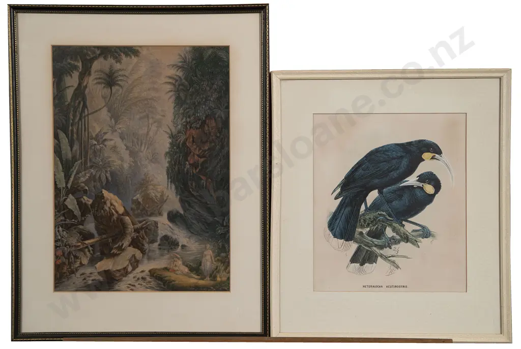 Large Baxter Print & Hui Birds Lithograph After J G Keulemans Image 1++