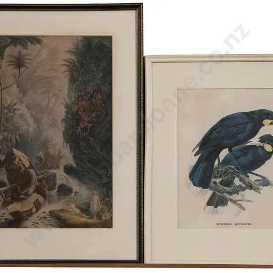 Large Baxter Print & Hui Birds Lithograph After J G Keulemans