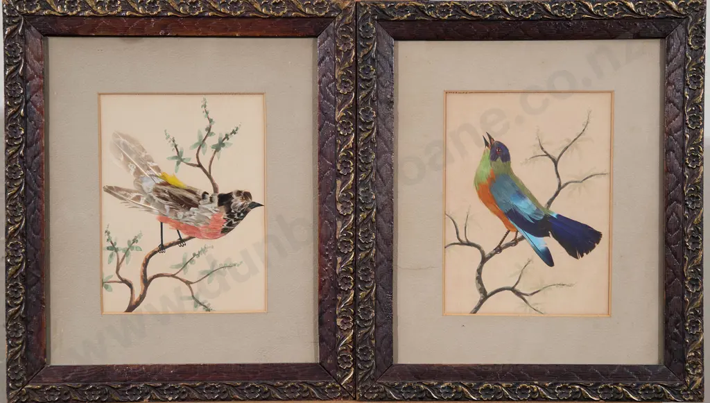 Pair Edwardian Feather Bird Pictures Image 1++
