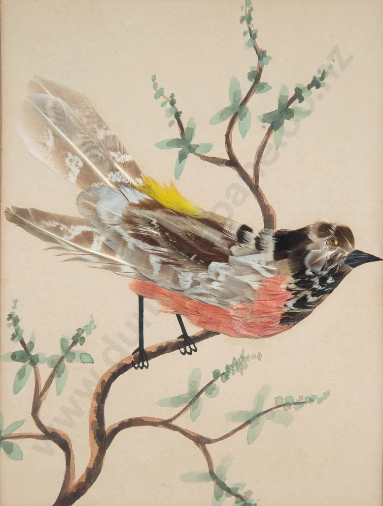 Pair Edwardian Feather Bird Pictures Image 1++