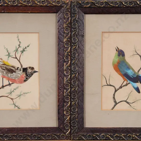 Pair Edwardian Feather Bird Pictures