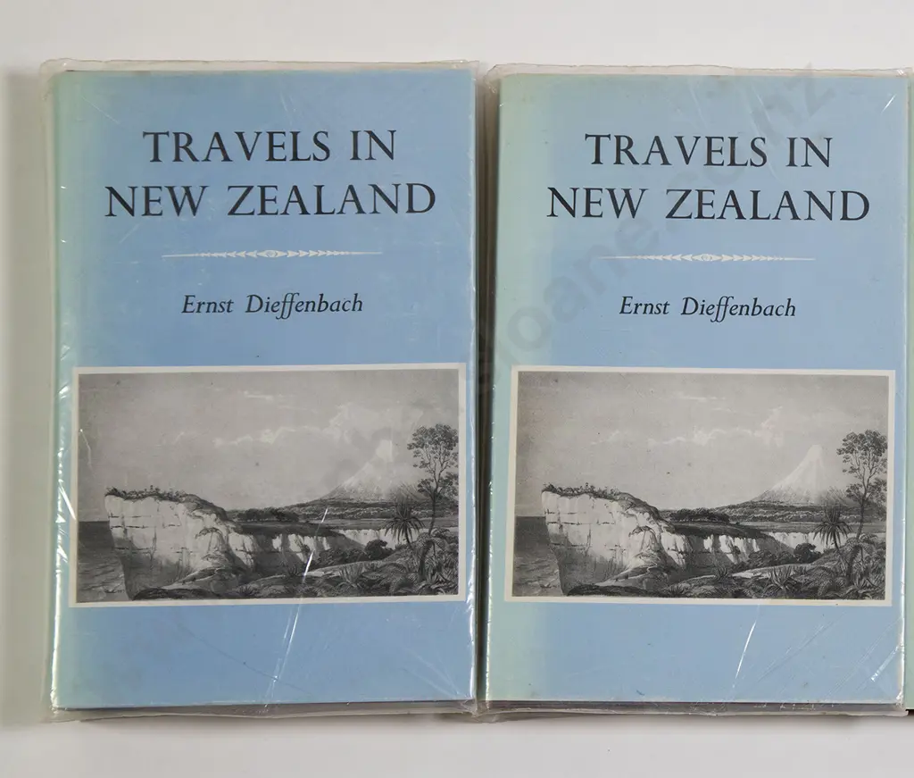 Dieffenbach Ernest - Travels In New Zealand (2 Volumes) Image 1++
