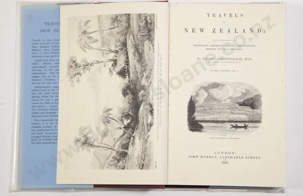 Dieffenbach Ernest - Travels In New Zealand (2 Volumes) Image 1++