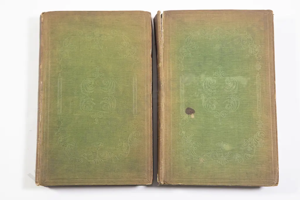 Dieffenbach Ernest - Travels In New Zealand (2 volumes) Image 1++