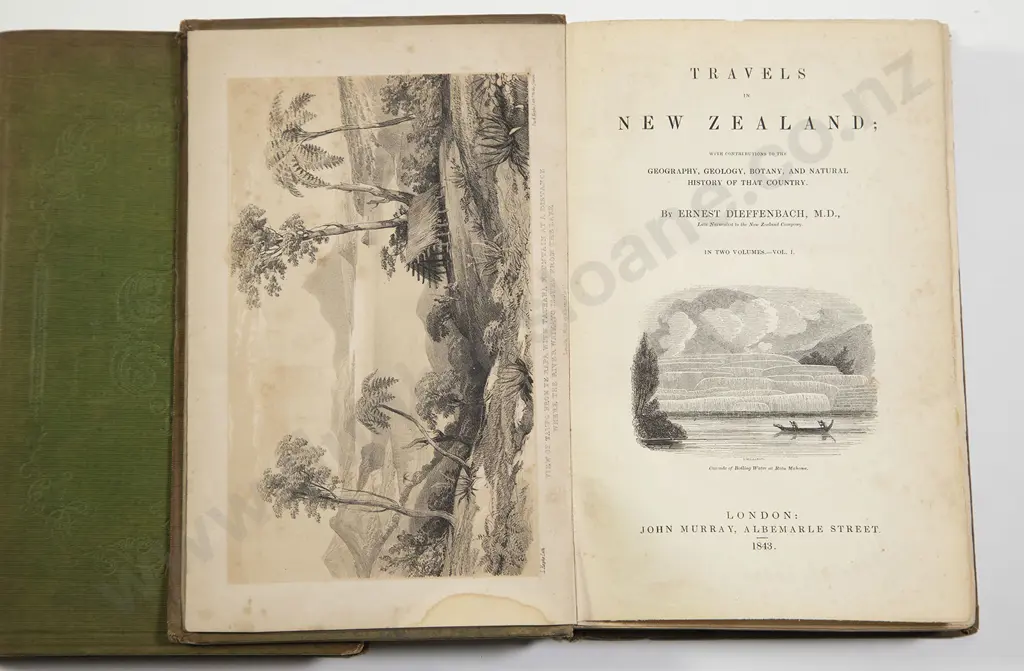 Dieffenbach Ernest - Travels In New Zealand (2 volumes) Image 1++
