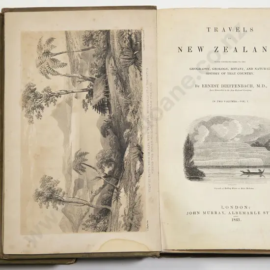 Dieffenbach Ernest - Travels In New Zealand (2 volumes)