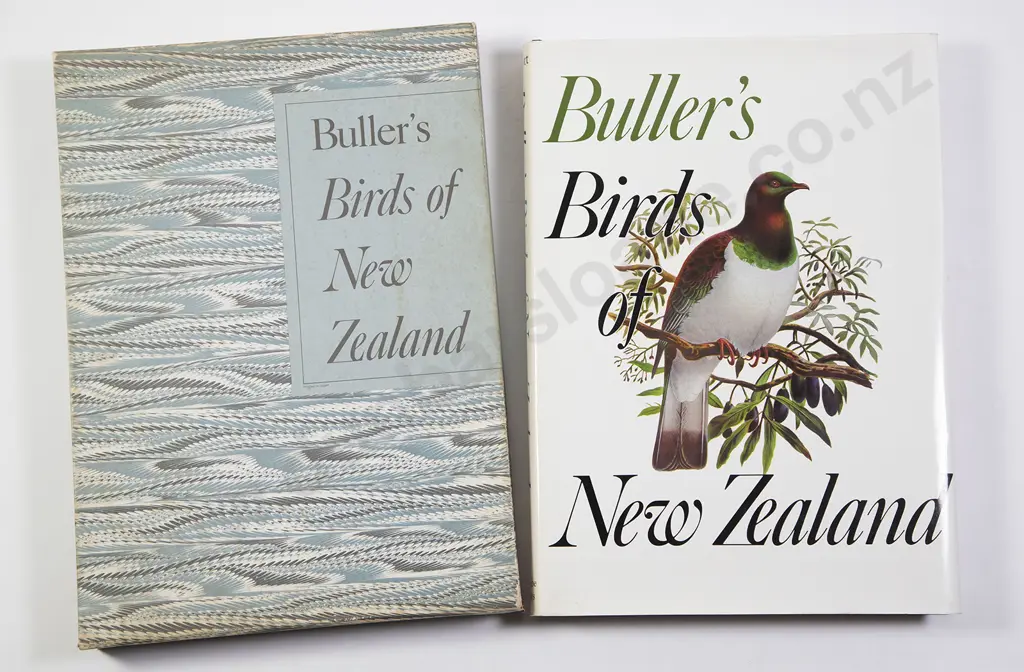 Buller's Birds Of New Zealand Image 1++