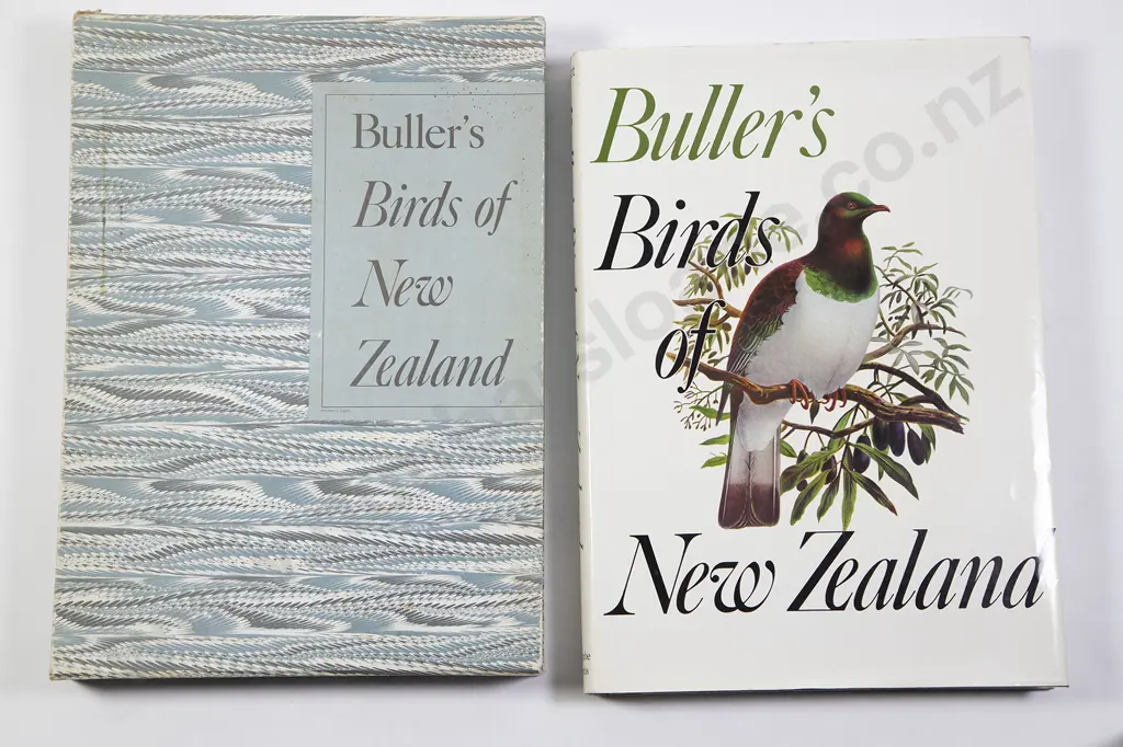 Bullers Birds Of New Zealand Image 1++