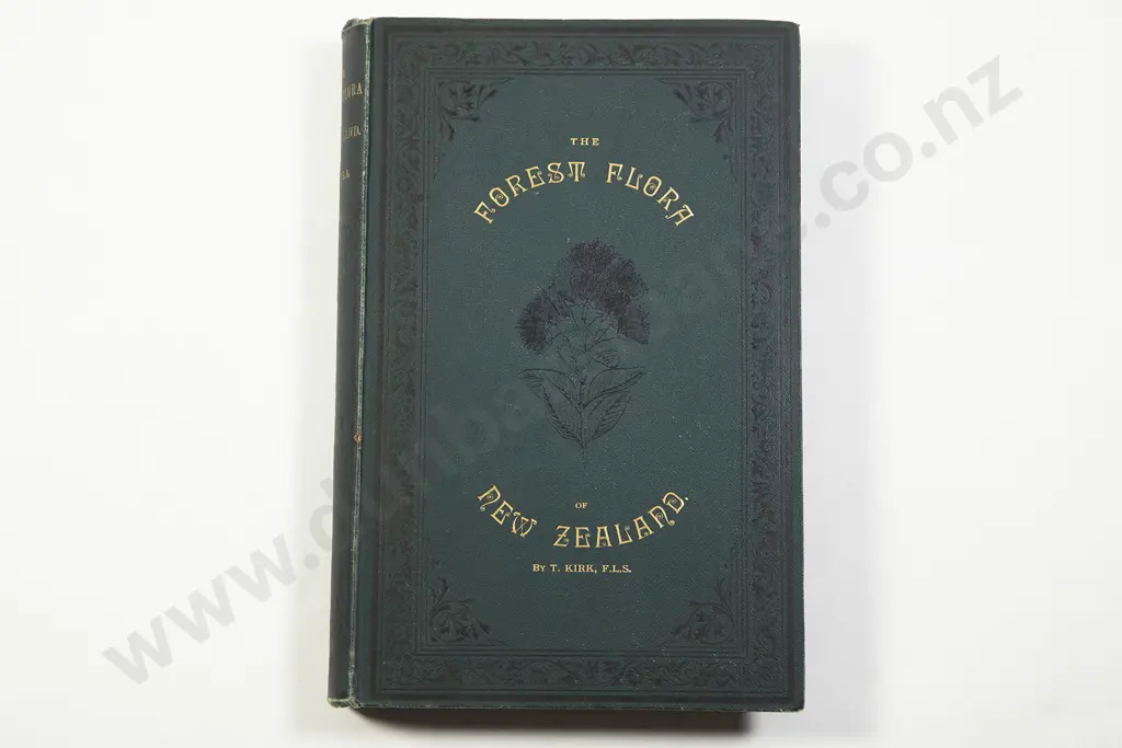 Kirk Thomas - The Forest Flora of New Zealand Image 1++