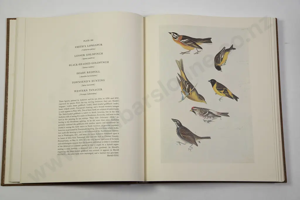 (-) The Original Water-Colour Paintings by John James Audubon Image 1++