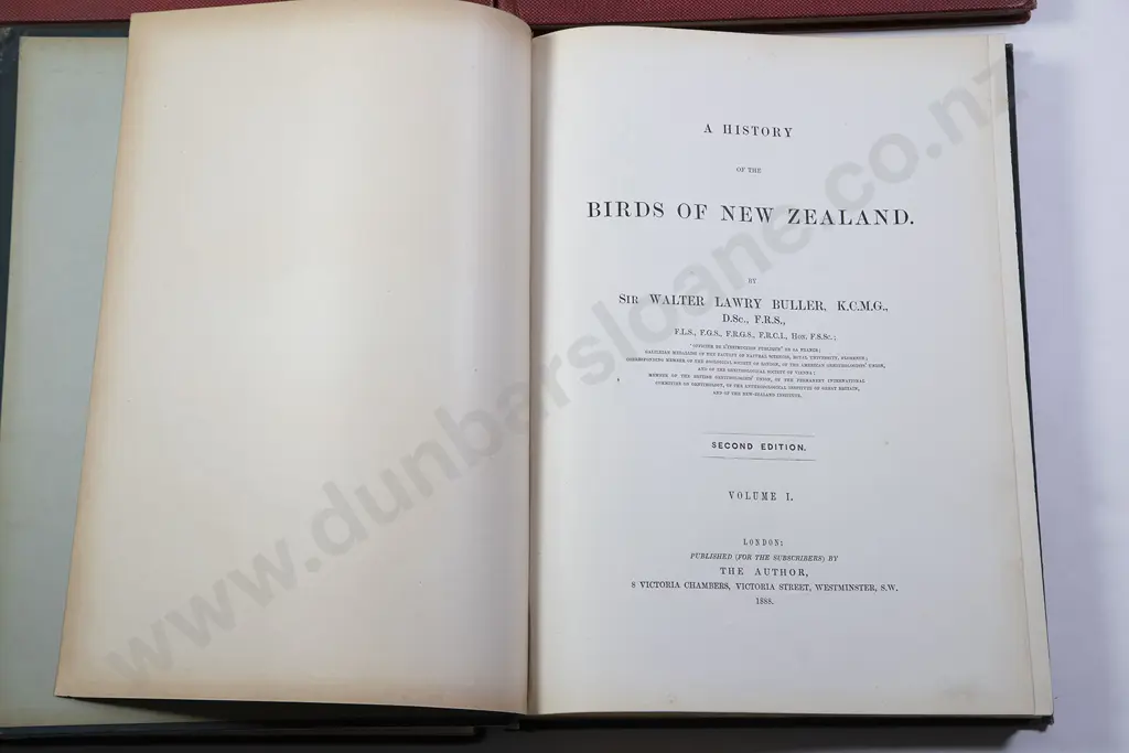 Buller Sir Walter Lawry - A History Of The Birds Of New Zealand Second Edition 1888 Image 1++