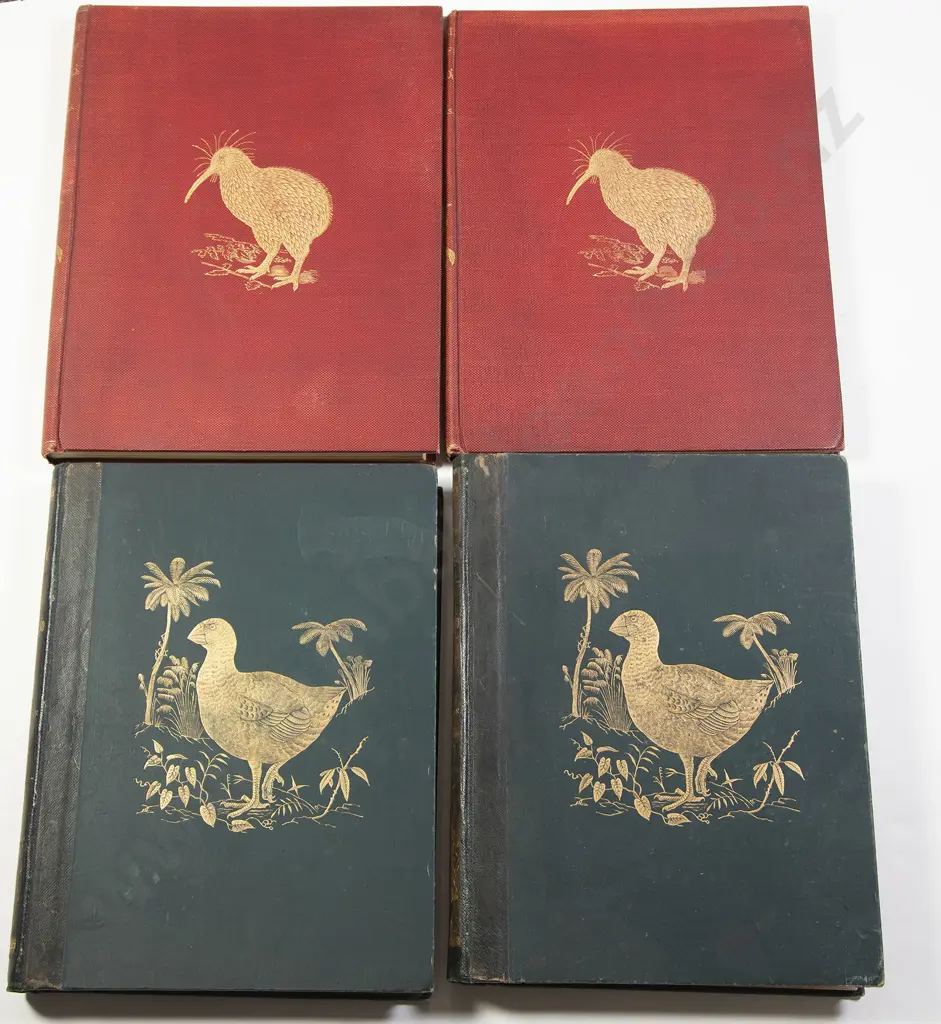Buller Sir Walter Lawry - A History Of The Birds Of New Zealand Second Edition 1888 Image 1++