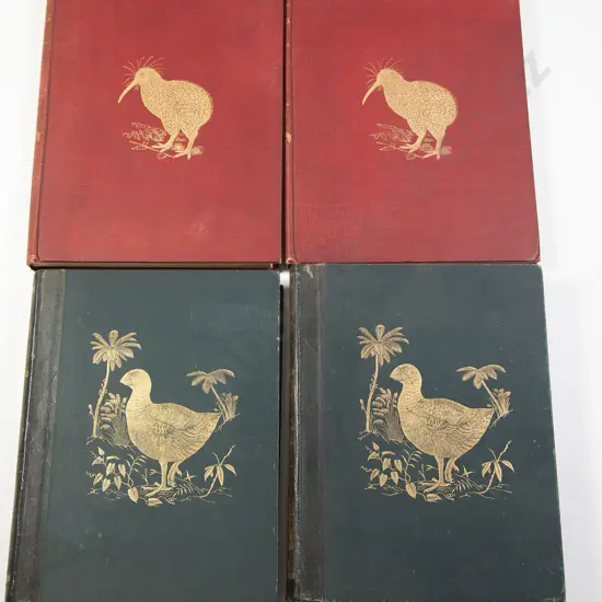 Buller Sir Walter Lawry - A History Of The Birds Of New Zealand Second Edition 1888