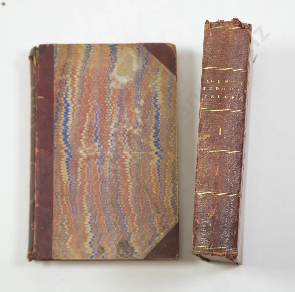 Blunt Lady Anne - Bedouin Tribes Of The Euphrates (2 Volumes) Image 1++
