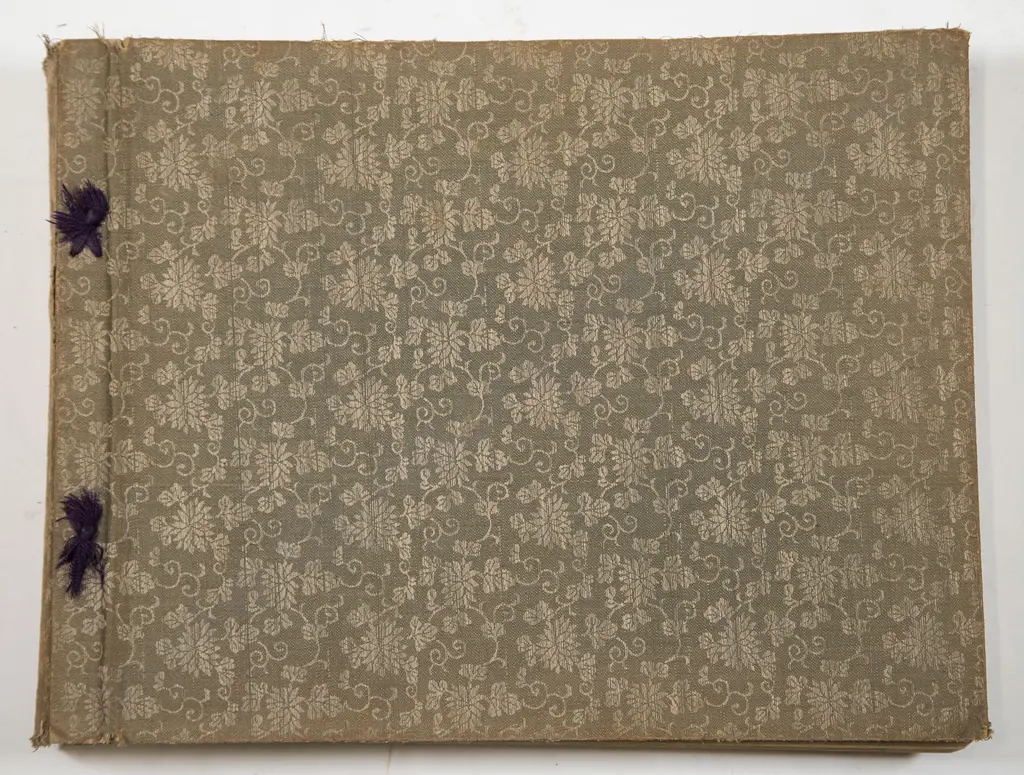 interesting Japanese Album Of Hand Coloured Sepia Photographs c1900-1920 Image 1++