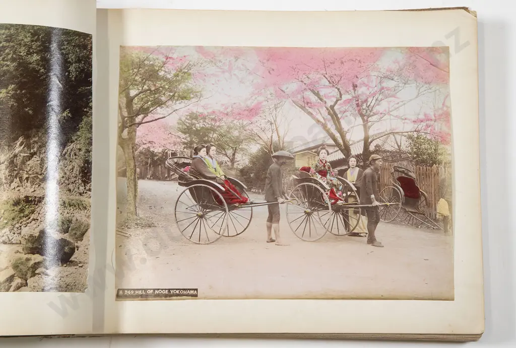 interesting Japanese Album Of Hand Coloured Sepia Photographs c1900-1920 Image 1++