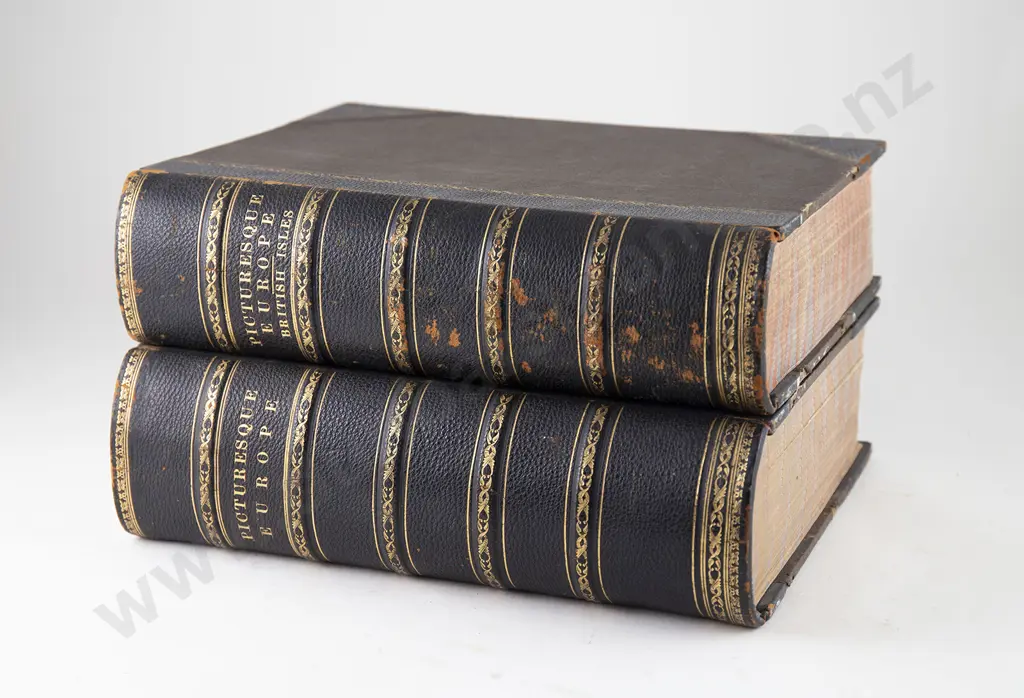 Picturesque Europe (2 Volumes) Image 1++