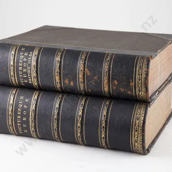 Picturesque Europe (2 Volumes)