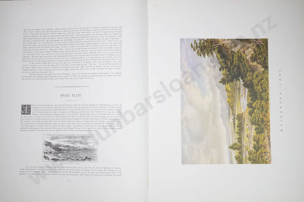 Barraud C D - New Zealand Graphic And Descriptive Image 1++