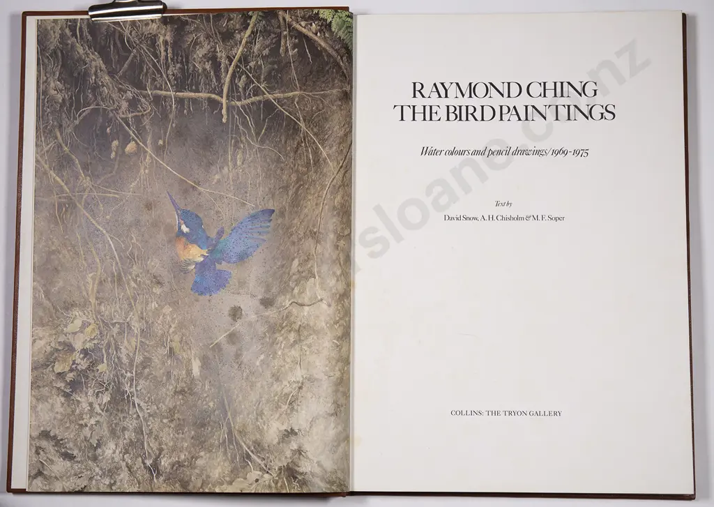 Raymond Ching The Bird Paintings Image 1++