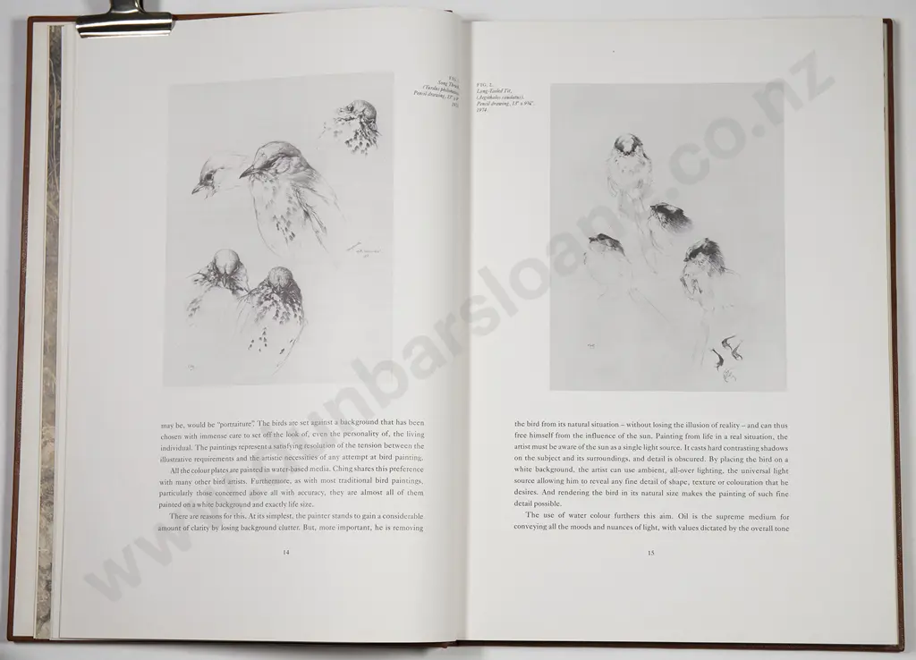Raymond Ching The Bird Paintings Image 1++