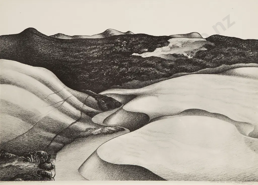 Don Binney (1940-2012) - Beyond Wainamu (Te Henga) Image 1++