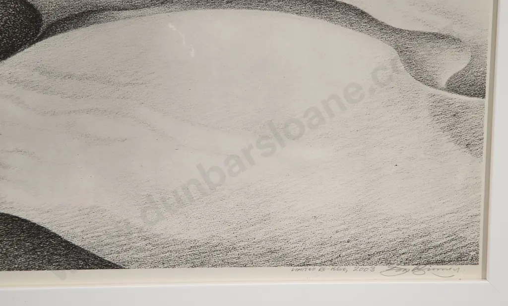 Don Binney (1940-2012) - Beyond Wainamu (Te Henga) Image 1++