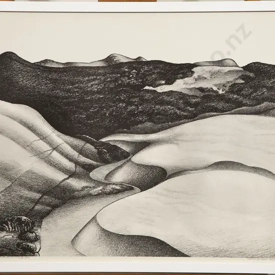 Don Binney (1940-2012) - Beyond Wainamu (Te Henga)
