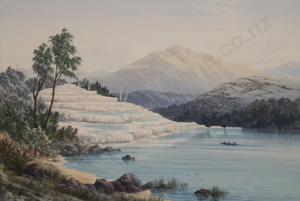 Thomas Peerless - White Terraces Image 1++