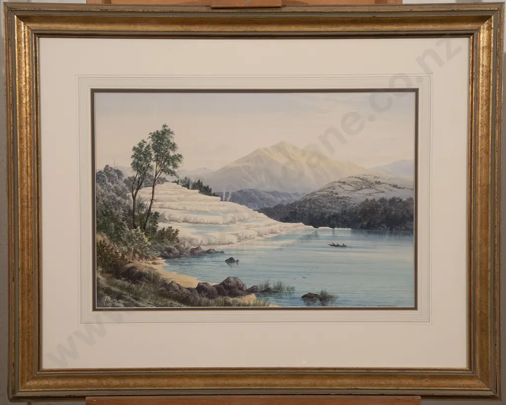 Thomas Peerless - White Terraces Image 1++