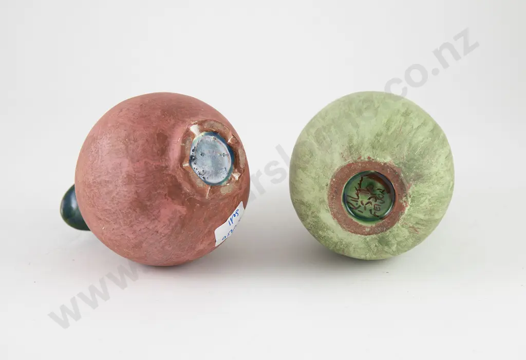 Katherine Smyth Feijoa & Other Juglet Image 1++