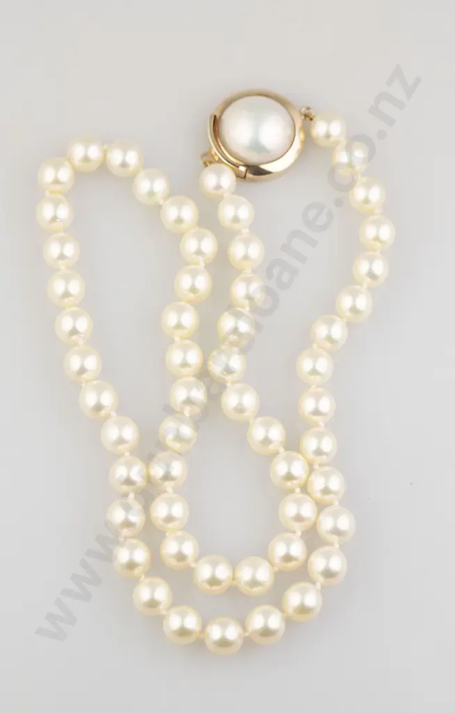 Single Strand Uniform Akoya Cultured Pearl Necklace Image 1++