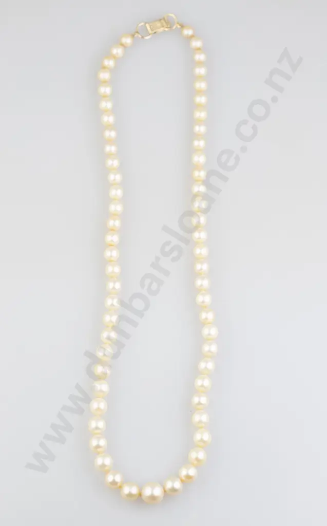 Ming Single Strand Uniform Akoya Pearl Necklace Image 1++
