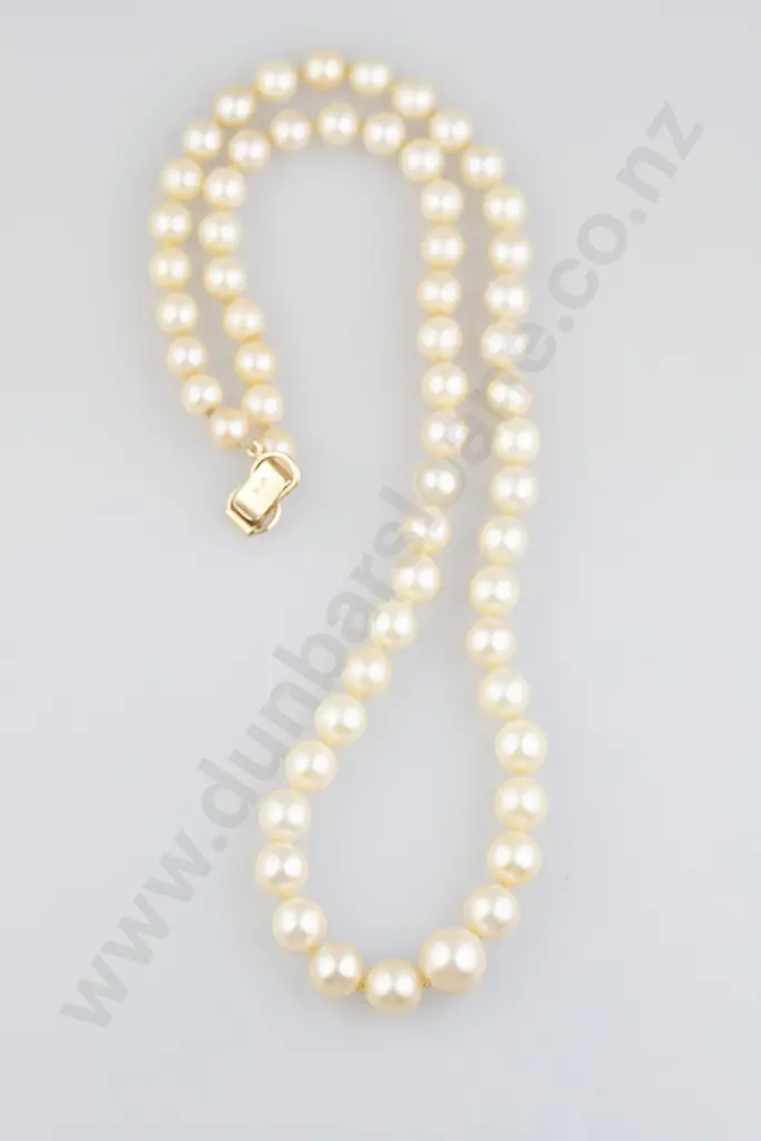 Ming Single Strand Uniform Akoya Pearl Necklace Image 1++