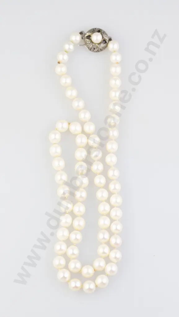 Single Strand Uniform Cultured Pearl Necklace Image 1++