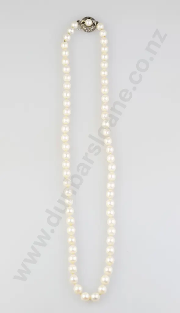 Single Strand Uniform Cultured Pearl Necklace Image 1++
