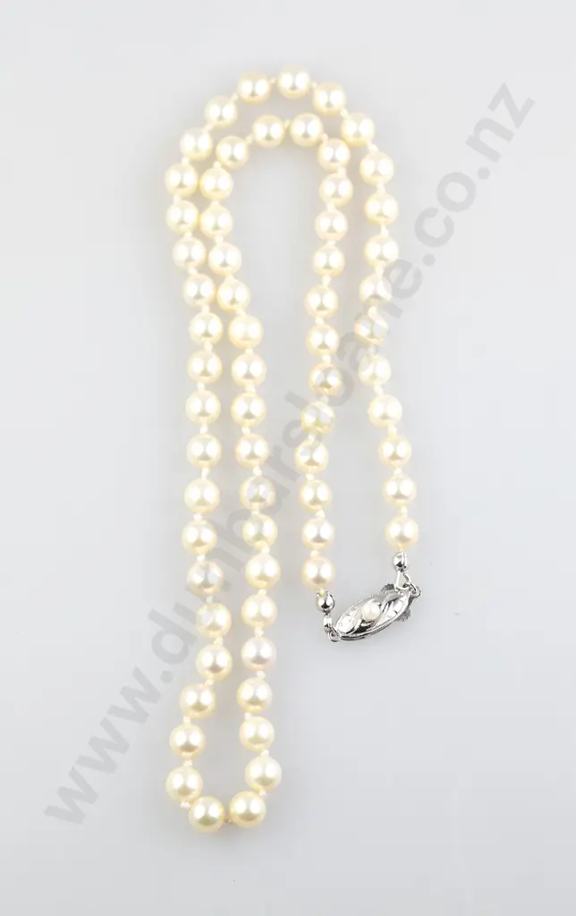 Single Strand Uniform Cultured Pearl Necklace Image 1++
