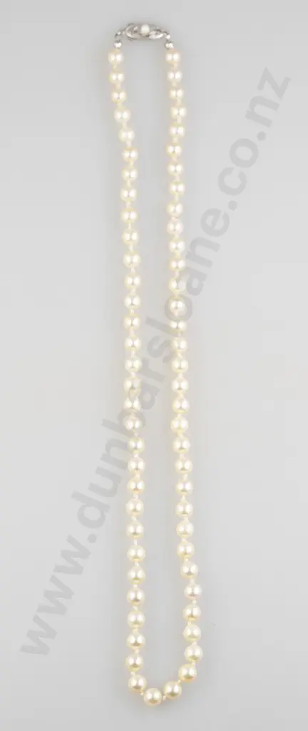 Single Strand Uniform Cultured Pearl Necklace Image 1++
