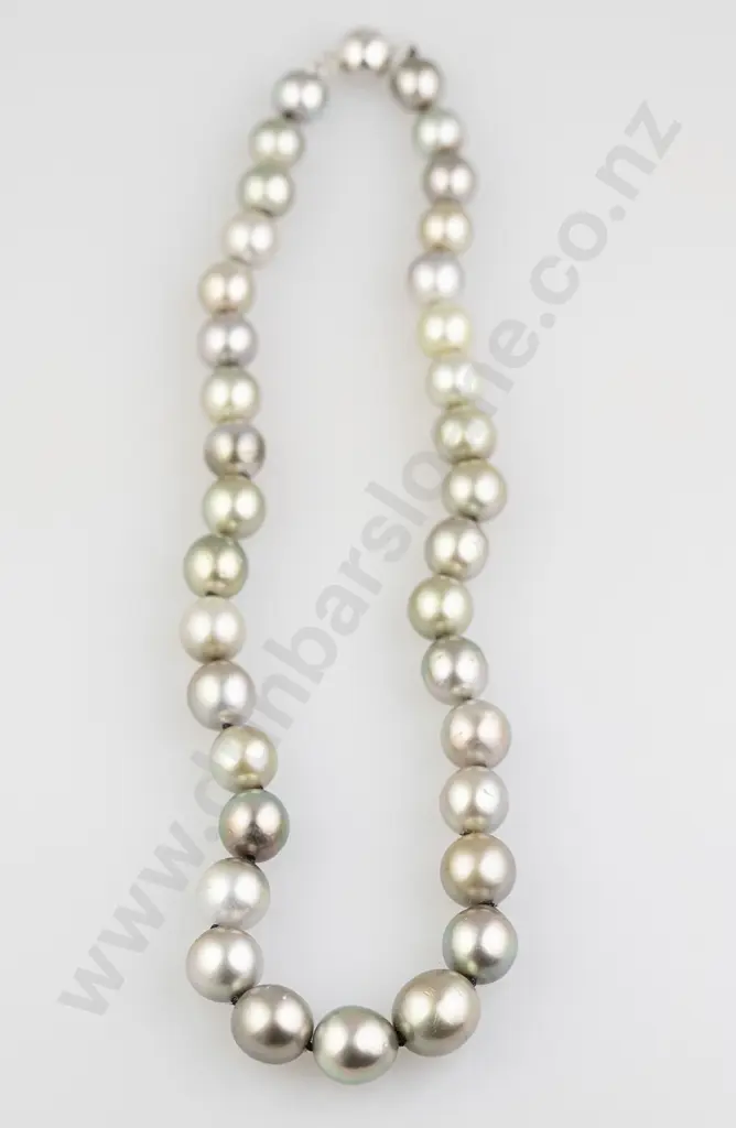 Single Strand Graduated Cultured Tahitian Pearl Necklace Image 1++