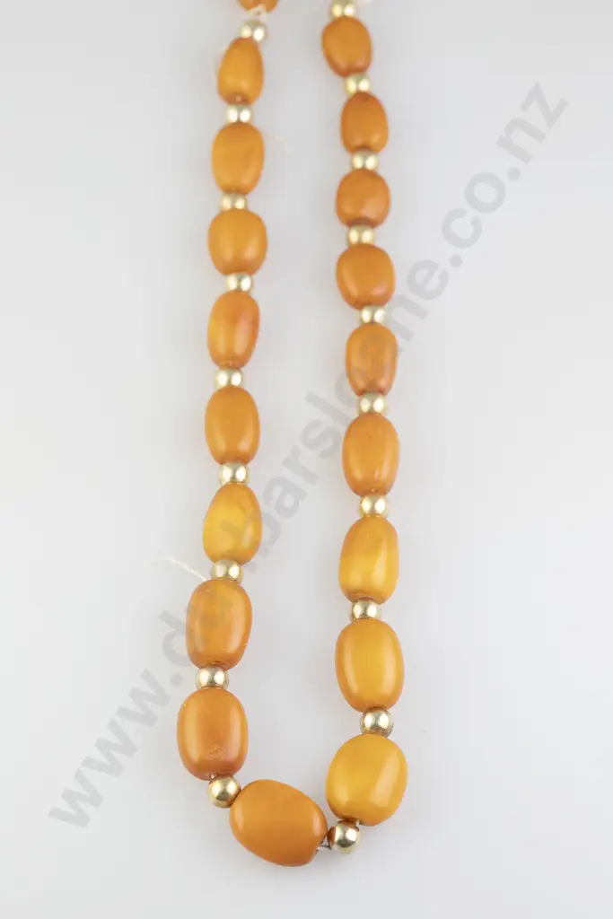 Single Strand Slightly Graduated Amber Bead Necklace Image 1++