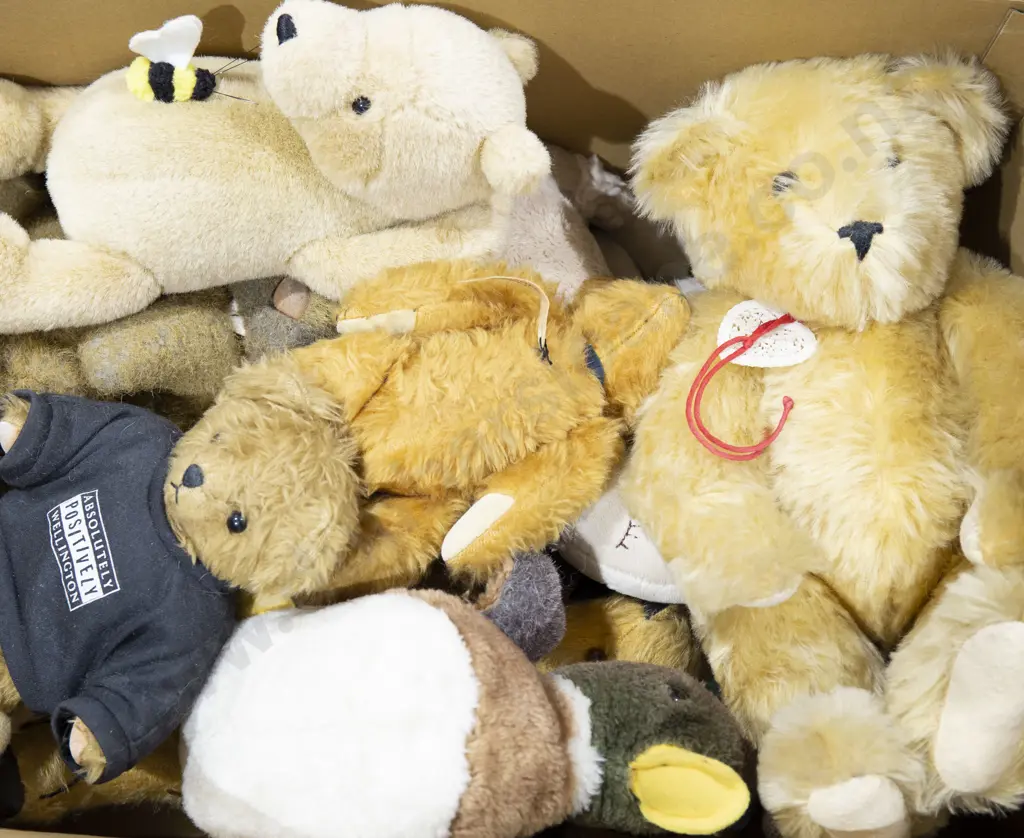 Qty of Teddy Bears Image 1++
