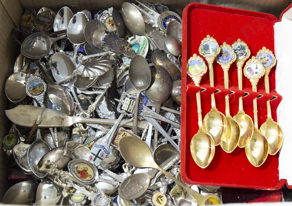 Box of Souvenir Spoons Image 1++