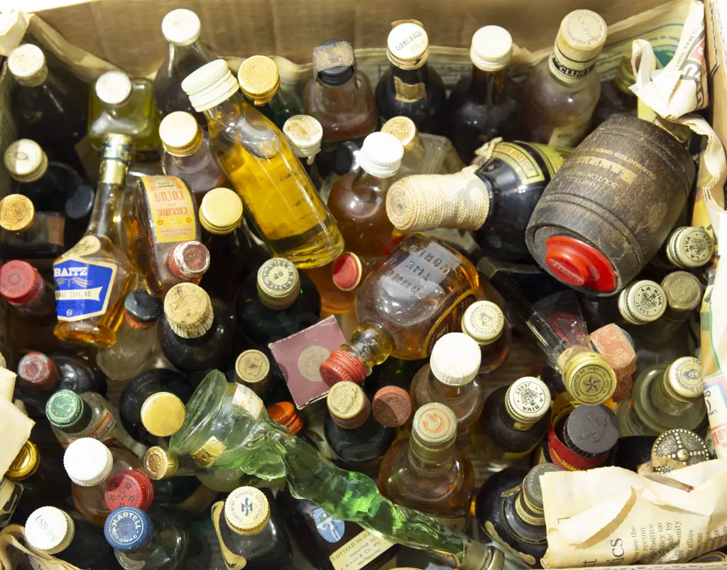 Box of Miniatures Image 1++