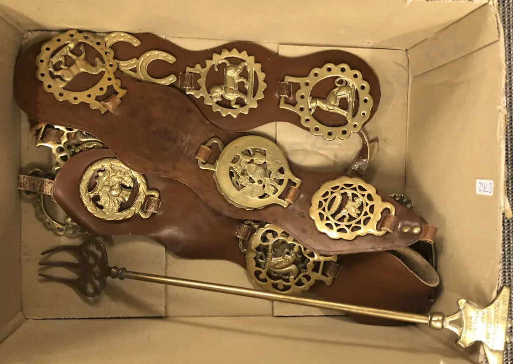 Horse Brasses and Brass Toasting Fork Image 1++