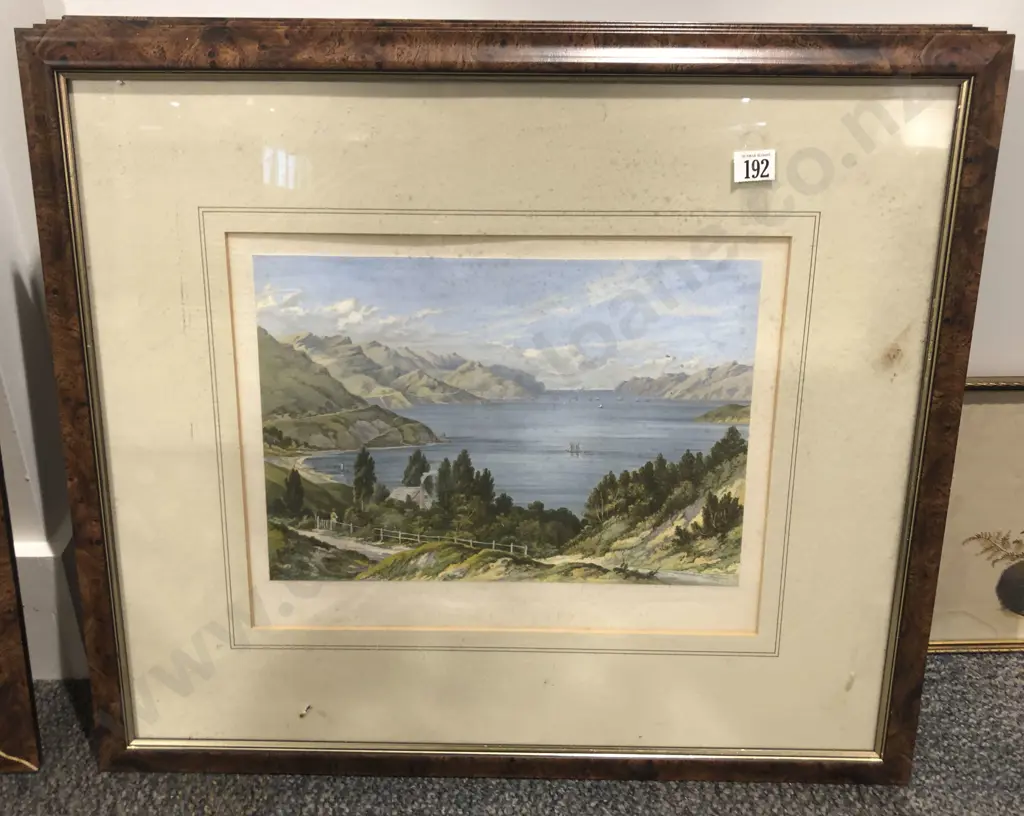 Five NZ Lithographs After C D Barraud Image 1++