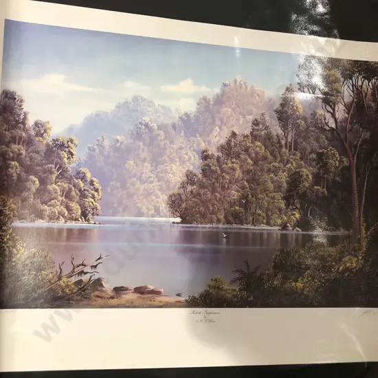 Two Signed Tim Wilson Prints Unframed