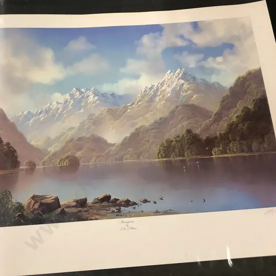 Two Signed Tim Wilson Prints Unframed