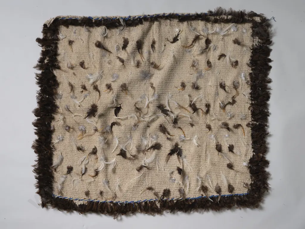 Kahu Huruhuru (Feather Cloak) Image 1++