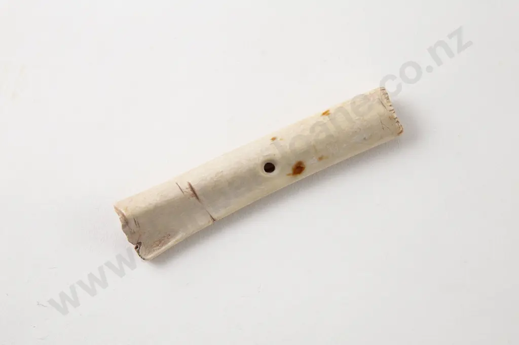 Bird Bone Toggle Image 1++