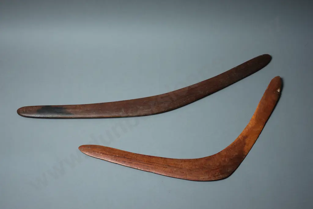 Two Aboriginal Boomerangs Image 1++